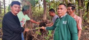 Wakil Ketua II DPRD Malaka Serahkan Sapi Korban Untuk Perayaan Hari Raya Idul Adha 1444 H