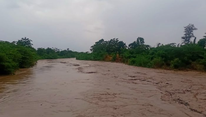 Dua Desa di Weliman – Malaka Digenangi Banjir Kali Motadelek !! Pemerintah Harus Segera Perbaiki Tanggul Jebol!!