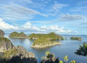 Pemerintah Dorong Pengelolaan Tambang Ramah Lingkungan di Wilayah Raja Ampat